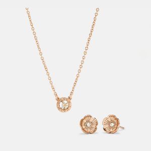 NWT Coach Rose Gold Necklace & Studs